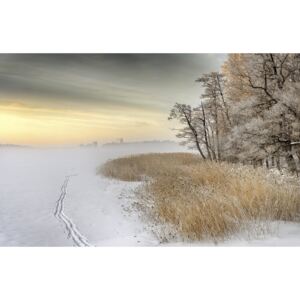 Art Photography Misty winter morning, Keijo Savolainen