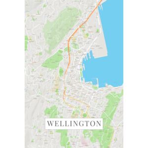 Map Wellington color