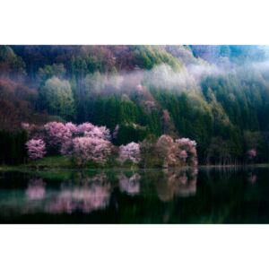 Art Photography In The Morning Mist, Takeshi Mitamura
