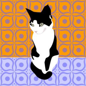 Huntley, Claire - Fine Art Print Cat on Morrocan Tiles
