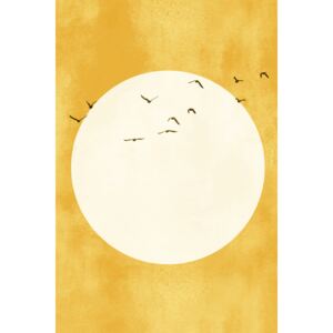 Illustration Eternal Sunshine, Kubistika