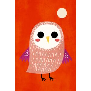 Illustration Little Owl, Kubistika