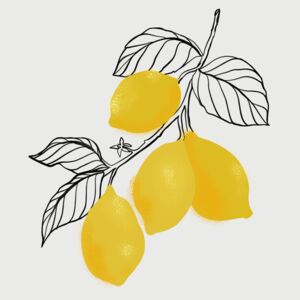 Illustration Lamya lemons, Blursbyai