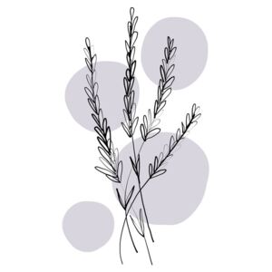 Illustration Delicate Botanicals - Lavender, The Artcircle