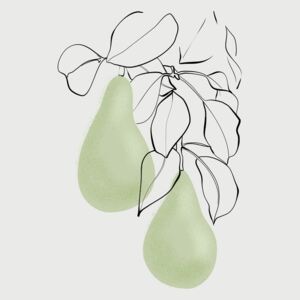 Illustration Wen pears, Blursbyai