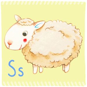 Illustration Alphabet - Sheep, Judith Loske