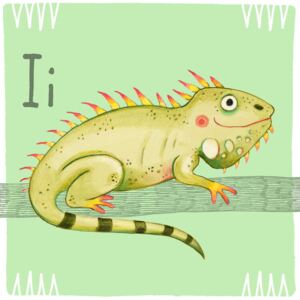 Illustration Alphabet - Iguana, Judith Loske
