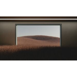 Art Photography Dark room in the middle of brown cereal field series 1, Javier Pardina