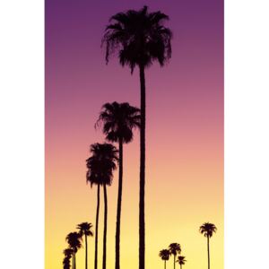 Art Photography American West - Sunset Palm Trees, Philippe Hugonnard