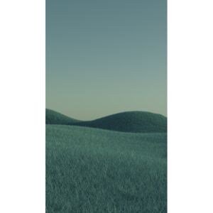 Art Photography Minimal landscpases of a green grass at with a gradient sky series 1, Javier Pardina