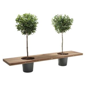 Romeo & Juliet Bench - With 2 flower pots - L 320 cm by Extremis Grey/Natural wood