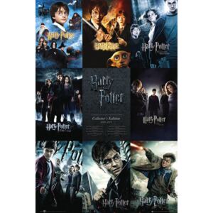Poster HARRY POTTER - collection, (61 x 91.5 cm)