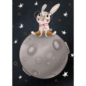 Illustration Rabbit on the moon, Nelli Suneli
