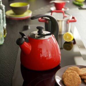 Enamel kettle Fusion Fresh 2,5 l red AMBITION