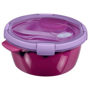 Food storage container To Go Lunch Kit round 1,6 l purple CURVER