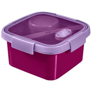 Food storage container To Go Lunch Kit square 1,1 l purple CURVER