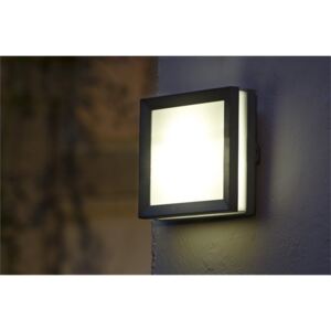 Lutec Seine 4W LED Wall Light - Graphite and Opal