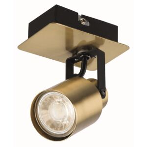 Lucy Single Lamp Spotlight, Gold/Black