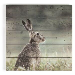 Hare Print On Wood Wall Art