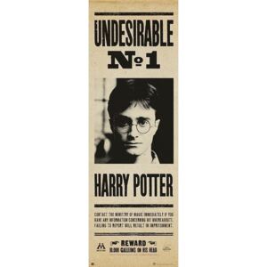 Poster Harry Potter - Undersirable no. 1, (53 x 158 cm)