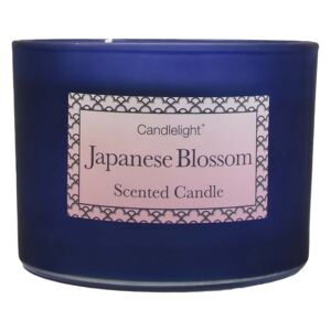 Two Wick Candle Japanese Blossom
