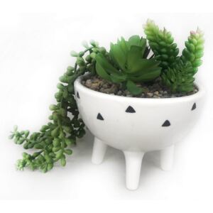 Trailing Plant in White Pot with Legs