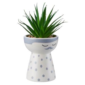 Daddy Planter with Succulent - Grey