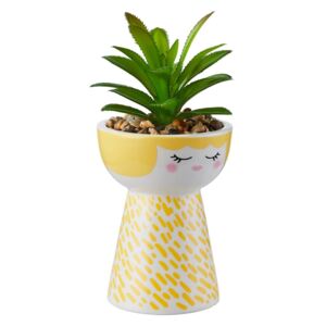 Mummy Planter with Succulent - Yellow