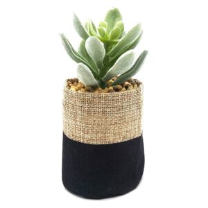 Small Plant in Sack - Black & Natural