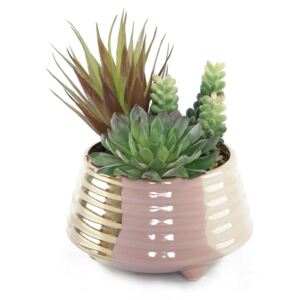 Large Potted Plant - Gold & Blush