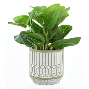 Leafy Plant in Cement Pot - Large