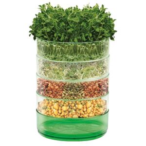 Microgreens Kitchen Seed Sprouter