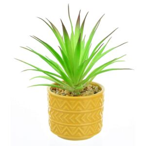 Spiky Succulent in Ochre Pot