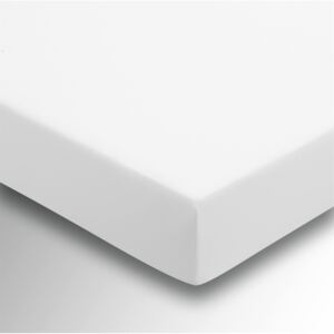 Helena Springfield Plain Dye Fitted Sheet - Double - White