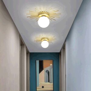 Decorative Nordic LED Ceiling Light