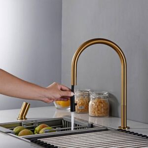 Solid Brass Pull Out Sprayer Head Golden Faucet