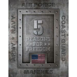 Metal sign 5 Reasons for Freedom, ( x cm)
