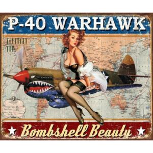 Metal sign P-40 Warhawk, ( x cm)