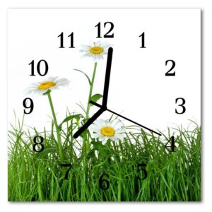 Glass Kitchen Clock Daisies flowers & plants green 30x30 cm