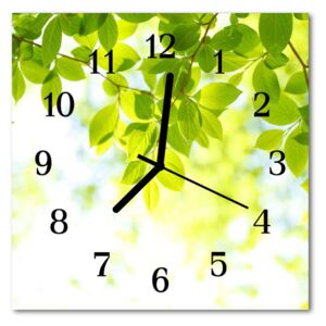Glass Kitchen Clock Leaves flowers & plants green 30x30 cm