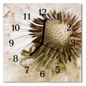 Glass Kitchen Clock Dandelion flowers & plants beige 30x30 cm