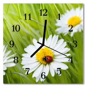 Glass Kitchen Clock Daisies flowers & plants green, white 30x30 cm