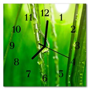 Glass Kitchen Clock Grass drops flowers & plants green 30x30 cm