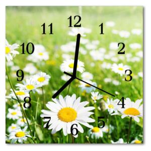 Glass Kitchen Clock Daisies flowers & plants white 30x30 cm