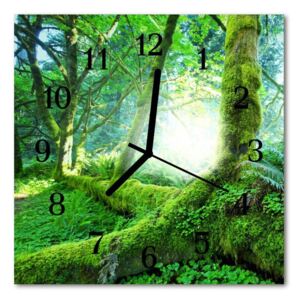 Glass Kitchen Clock Forest moss landscapes green 30x30 cm