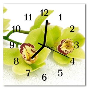 Glass Kitchen Clock Orchid flowers green 30x30 cm