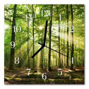 Glass Wall Clock Forest nature forest nature green 30x30 cm