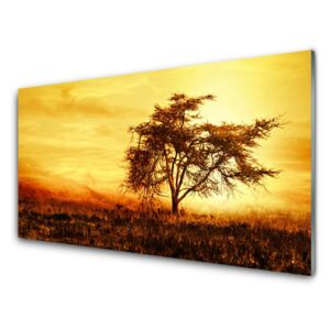 Acrylic Print Tree nature orange 100x50 cm