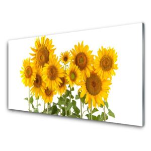 Acrylic Print Sunflowers floral yellow gold green 100x50 cm