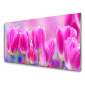 Acrylic Print Tulips floral pink 100x50 cm